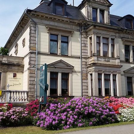 Galeriecafe Und Pension Ambiente Zittau Ngoại thất bức ảnh